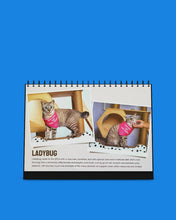 Load image into Gallery viewer, SPCA 2026 Calendar