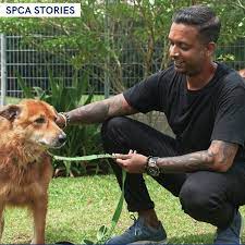 SPCA Volunteer Spotlight