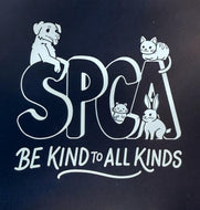 Be Kind to All Kinds Car Decal