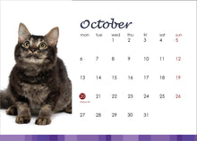 Load image into Gallery viewer, SPCA 2025 Calendars
